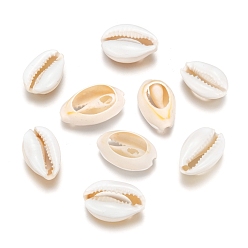 White Cowrie Shell Beads, with Enamel, No Hole/Undrilled, White, 20~26x13~18x5~7mm