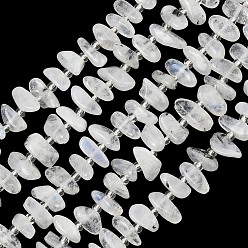 Rainbow Moonstone Brins de perles de pierre de lune arc-en-ciel naturel, nuggets, Grade a, 8.5~19x3.5~10x3.5~8mm, Trou: 0.8mm, Environ 43~60 pcs/chapelet, 15.75'' (40 cm)