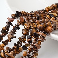 Tiger Eye Nuggets Natural Tiger Eye Bead Strands, 4~6x8~12x2~4mm, Hole: 1mm, about 34.6 inch