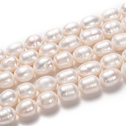 Bisque Natural Cultured Freshwater Pearl Beads Strands, Rice, Bisque, 11~14x10~11mm, Hole: 0.8mm, about 28pcs/strand, 13.78 inch(35cm)