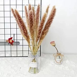 Sienna Mini Dried Grass Bouquet for Wedding Party Home Table Decoration, Sienna, 600mm, 10pcs/bag