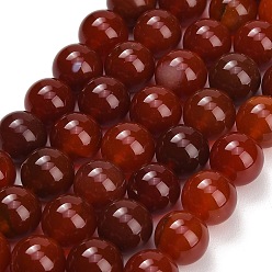 Cornaline Perles naturelles cornaline brins, teints et chauffée, lisse et rond, Grade b, 14mm, Trou: 1mm, Environ 28 pcs/chapelet, 15.28~15.35'' (38.8~39 cm)