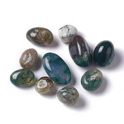 Moss Agate Natural Moss Agate Beads, Tumbled Stone, Vase Filler Gems, No Hole/Undrilled, Nuggets, 15.5~32.5x14~18x9~16.5mm, about 148pcs/1000g.