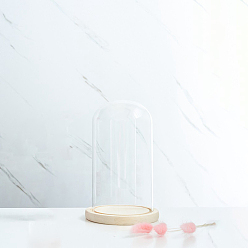 Прозрачный Стеклянный купол, декоративная витрина, колокол баночка террариум с деревянной основой, для подарка своими руками сохраненного цветка, прозрачные, 120x220 мм