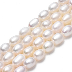 Seashell Color Natural Cultured Freshwater Pearl Beads Strands, Rice, Seashell Color, 6~7.5x4.5~5mm, Hole: 0.6mm, about 51~52pcs/strand, 13.78 inch(35cm)