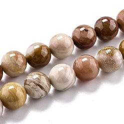 Natural Agate Natural Petrified Wood Agate Beads Strands, Round, 10.5mm, Hole: 1.2mm, about 37pcs/strand, 15.55 inch(39.5cm)