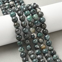 Dioptase Natural Dioptase Beads Strands, Round, 8mm, Hole: 0.9mm, about 46pcs/strand, 15.08''(38.3cm)