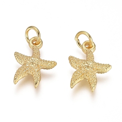 Golden Electroplated Alloy Charms, Long-Lasting Plated, with Brass Jump Ring, Starfish/Sea Stars, Golden, 14.5x11x3mm, Hole: 3.5mm