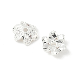 Серебро Латунный микропаве, прозрачная шапочка для бусин из кубического циркония, клевер, серебряные, 8x8.5x2.5 мм, отверстие : 1.2 мм