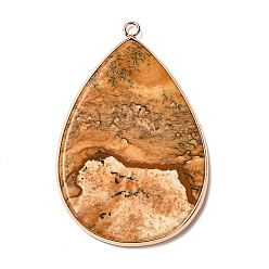 Пейзажный Джаспер Естественного изображения Джаспер большие кулоны, Подвески-капли в позолоченной латунной оправе, 54.5~55x35.5x3 мм, отверстие : 2 мм