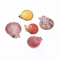 Shell Shell Pendants, with Iron Findinggs, Shell, Light Gold, 45~59x41~52x6~8mm, Hole: 1.6~1.8mm