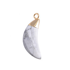 Howlite Natural Howlite Pendants, Faceted Moon Charms, with Golden Plated Brass Findings, 25x10mm
