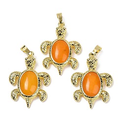 Белый Нефрит Подвески из натурального окрашенного белого нефрита и латуни, стойки покрытие, без кадмия и без свинца, в форме морской черепахи, 38x27.5x7 мм, отверстие : 8x5 мм