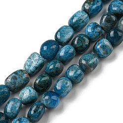 Apatite Natural Apatite Beads Strands, Nuggets Tumbled Stone, 10~14x9~10x8~9mm, Hole: 1mm, about 35~36pcs/strand, 15.63''~15.79'' (39.7~40.1cm)