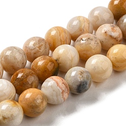 Crazy Agate Natural Crazy Agate Beads Strands, Round, 8~8.5mm, Hole: 1.1mm, about 47pcs/strand, 15.08''(38.3cm)