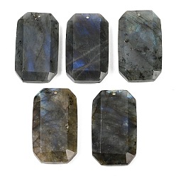 Лабрадорита Природные подвески лабрадорита, граненые прямоугольные подвески, 34~35.5x19~20.5x7~8 мм, отверстие : 1.6 мм