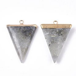 Labradorite Electroplate Natural Labradorite Pendants, with Iron Findings, Triangle, Golden, 30~34x23x5~5.5mm, Hole: 1.6mm