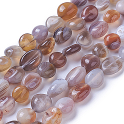 Botswana Agate Natural Botswana Agate Beads Strands, Tumbled Stone, Nuggets, 7~11x7~8mm, Hole: 1mm, about 47~48pcs/strand, 15.94 inch(40.5cm)