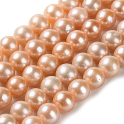 PeachPuff Natural Pearl Beads Strands, Round, Grade 4A+, PeachPuff, 7.5~8mm, Hole: 0.5mm, about 52pcs/strand, 15.87''(40.3cm)