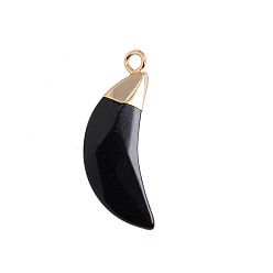 Other Jade Natural Black Jade Dyed Pendants, Faceted Moon Charms, with Golden Plated Brass Findings, 25x10mm