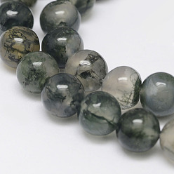 Sea Green Natural Moss Agate Beads Strands, Round, Sea Green, 4mm, Hole: 1mm,  about 95pcs/strand, 15.5 inch