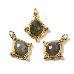 Labradorite Natural Labradorite Faceted Pendants, Rhombus Charms with Rack Plating Golden Tone Brass Findings, Cadmium Free & Lead Free, 19.5x16x5mm, Hole: 3mm