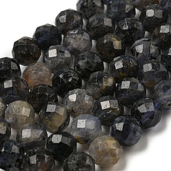 Iolite Natural Iolite Beads Strands, Faceted, Round, 6mm, Hole: 0.8mm, about 63pcs/strand, 15.12''(38.4cm)