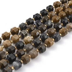 Petrified Wood Natural Petrified Wood Beads Strands, Faceted, with Seed Beads, Polygon, 8x6mm, Hole: 1.2mm, about 40pcs/strand, 14.96 inch(38cm)