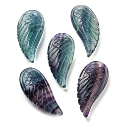 Fluorite Natural Fluorite Pendants, Carved Wing Charms, 36.5~37x17x8.5~9mm, Hole: 1.6mm