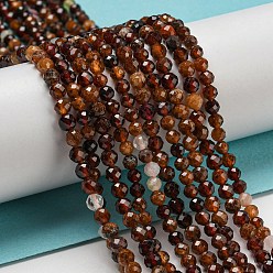 Garnet Natural Orange Garnet Beads Strands, Faceted, Round, 3mm, Hole: 0.7mm, about 110pcs/strand, 15.16''(38~38.5cm)