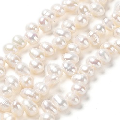 Seashell Color Natural Cultured Freshwater Pearl Beads Strands, Grade 5A, Rice, Seashell Color, 6~7x4~5mm, Hole: 0.5mm, about 71pcs/strand, 14.65''(37.2cm)