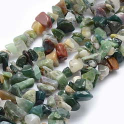 Indian Agate Natural Indian Agate Beads Strands, Chip, 5~8mm, Hole: 1mm, about 33 inch(84cm)