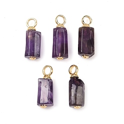 Аметист Подвески из натурального аметиста в форме прямоугольника, с латунной фурнитурой , реальный 18 k позолоченный, без кадмия и без свинца, стойки покрытие, долговечный, 18~20x7~8x7~8 мм, отверстие : 3 мм