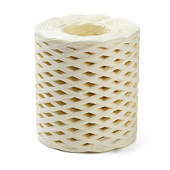 PapayaWhip Raffia Ribbon, Packing Paper String, Raffia Twine Paper Cords for Gift Wrapping and Weaving, PapayaWhip, 3~4mm, about 218.72 Yards(200m)/Roll