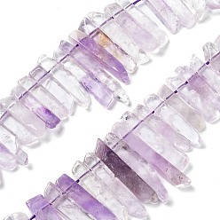 Amethyst Natural Amethyst Beads Strands, Top Drilled Beads, Rectangle, 24~62x8~14x4~9mm, Hole: 1.8mm, about 34~39pcs/strand, 15.04''~15.51''(38.2~39.4cm)