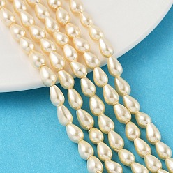 Champagne Gold Полированные оболочки жемчужные бусины пряди, слеза, шампанское золото, 8x5 мм, отверстие : 0.8 мм, около 55 шт / нитка, 15.94 ихч(40.5см)