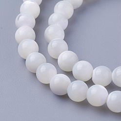Other Sea Shell Shell Beads Strands, Round, 6~6.2mm, Hole: 1mm, about 65pcs/strand, 15 inch(38cm)