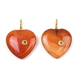 Red Agate Натуральный красный агат подвески, окрашенная и подогревом, сердце прелести, с латунными микро проложить кубических выводы циркония, золотые, 33~33.5x25x9 мм, отверстие : 6 мм