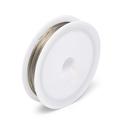 Raw Устойчивая к потускнению фурнитура для самодельных ювелирных изделий из цветной проволоки «хвост тигра», нержавеющая сталь с нейлоновым покрытием, сырой, 28 калибр (0.3 мм), около 164.04 футов (50 м) / рулон