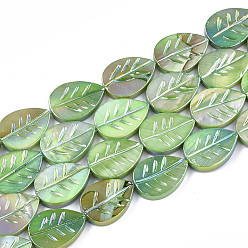 Lime Green Freshwater Shell Beads Strands, AB Color Plated, Dyed, Leaf, Lime Green, 15~15.5x11~11.5x3mm, Hole: 1mm, 23~24pcs/strand, 14.3 inch~14.7 inch