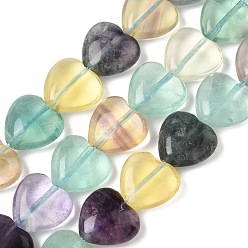 Флюорит Природных красочные флюорита бисер нитей, сердце, 12.5x12.5x6 мм, отверстие : 1.4 мм, около 33 шт / нитка, 14.69 дюйм (37.3 см)