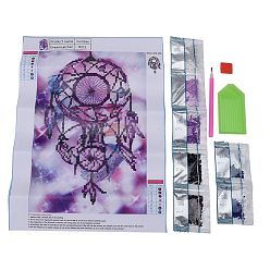 Mixed Color 5D DIY Diamond Painting Canvas Kits For Kids, with Resin Rhinestones, Diamond Sticky Pen, Tray Plate and Glue Clay, Woven Net/Web with Feather, Mixed Color, 36x26cm