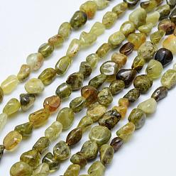 Garnet Natural Green Garnet Beads Strands, Andradite Beads, Tumbled Stone, Nuggets, 5x4mm, Hole: 1mm, 15.7 inch~15.9 inch(40~40.5cm)