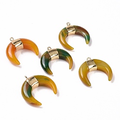 Natural Agate Natural Agate Pendants, with Light Gold Plated Brass Findings, Dyed & Heated, Horn Charm, 39x39x9.5mm, Hole: 2mm