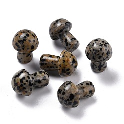 Далматинских Джаспер Натуральный далматинский гриб яшма камень гуа ша, инструмент для массажа со скребком гуа ша, для спа расслабляющий медитационный массаж, 20~21x14~15.5 мм