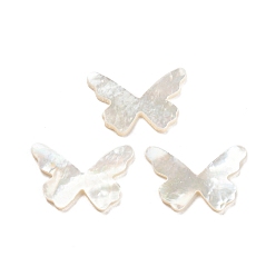 White Natural Sea Shell Cabochons, Butterfly, White, 9x13x0.8~1mm