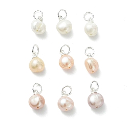 Серебро Подвески из натурального пресноводного жемчуга, Двусторонние полированные подвески с латунными петлями, разноцветные, серебряные, 10x7~8 мм, Перейти кольцо: 5x0.8 мм, внутренний диаметр: 3.5 мм
