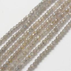 Labradorite Natural Labradorite Bead Strands, Faceted, Rondelle, 3x2mm, Hole: 0.5mm, about 175pcs/strand, 16 inch
