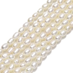 Льняное Полотно Нити из натурального культивированного пресноводного жемчуга, рис, белье, 3~4.5x2.8~3.2 мм, отверстие : 0.5 мм, около 74~85 шт / нитка, 14.17''~14.37" (36~36.5 см)