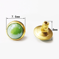 Lawn Green Iron Rivet Set, with Imitation Cat Eye Plastic Beads, for Purse Handbag Shoes Leather Craft Clothes Belt, Half Round, Golden, Lawn Green, 8x7.5mm